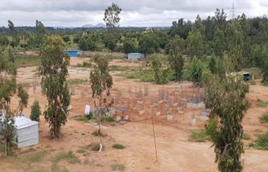 Elderberry-Backfilling works till Ground floor level in progress - October 2019